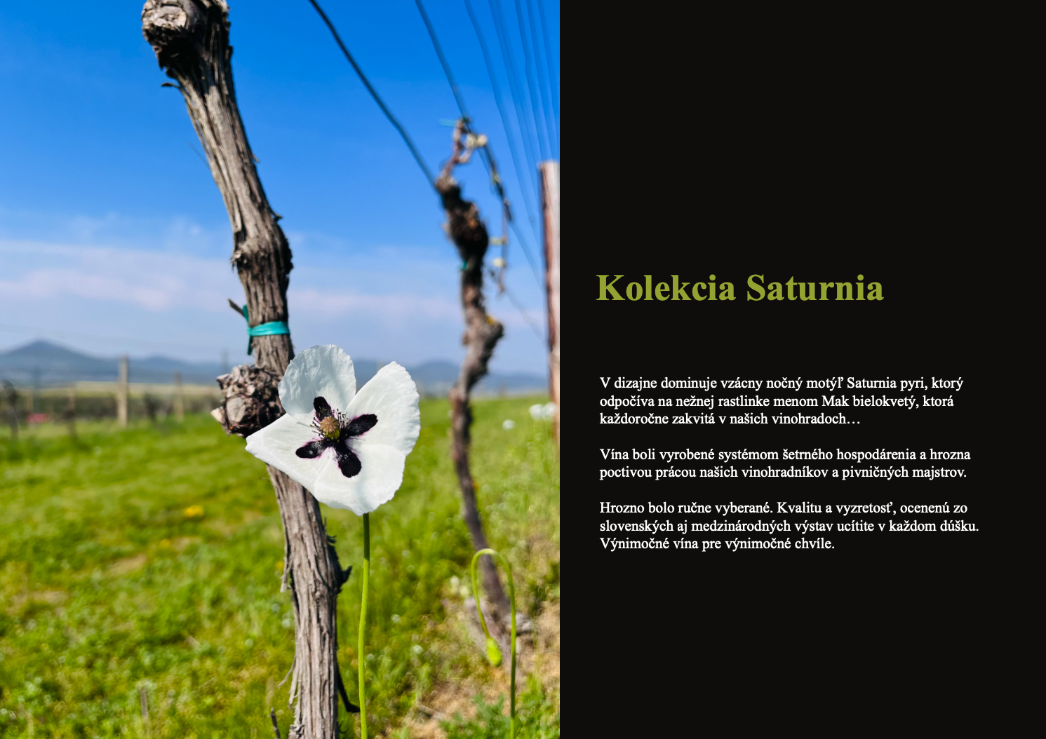 Tlačový katalóg vinárstva